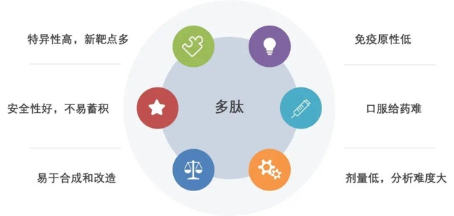 创新药板块持续走强？ylzz总站线路检测中心离心浓缩仪加速多肽药物产业化进程