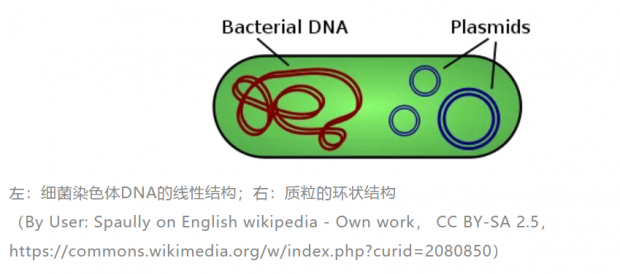 5c7b1098ffc1fdfa48809ca878637b90.png